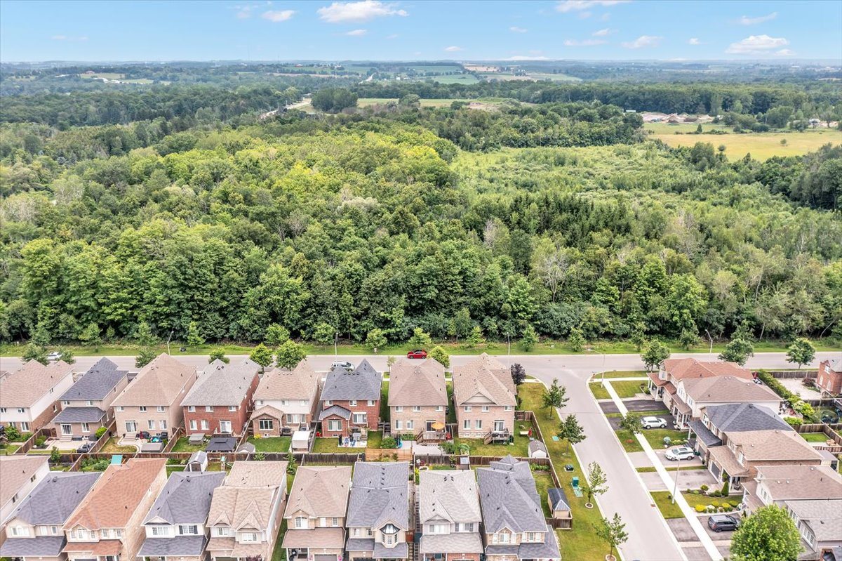 Aerial view toward the forest