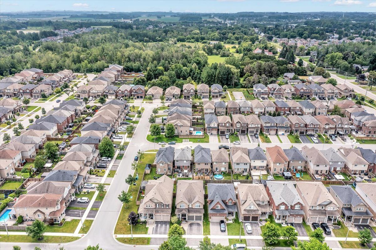 Aerial view of the neighbourhood
